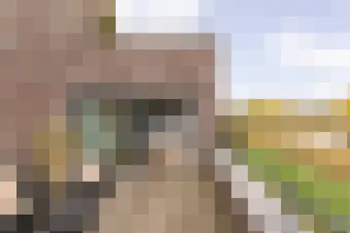 Larikslaan 2 Amsterdam thumbnail 25
