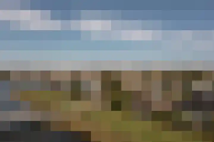 Larikslaan 2 Amsterdam thumbnail 4