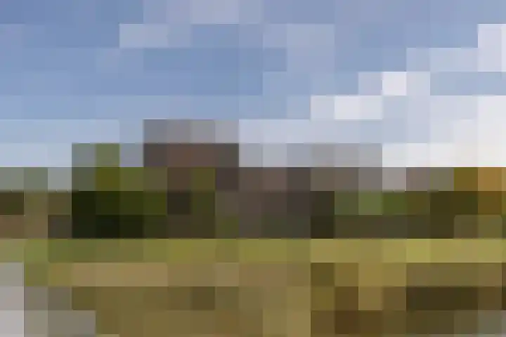 Larikslaan 2 Amsterdam thumbnail 50