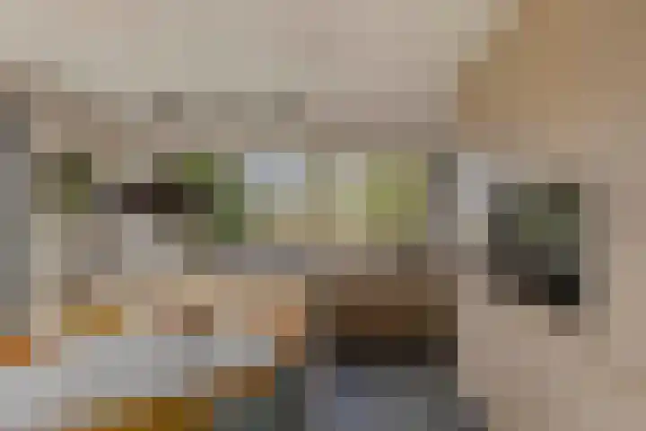 Larikslaan 2 Amsterdam thumbnail 8