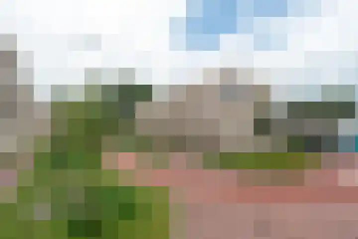 Larikslaan 3 e Leusden thumbnail 42