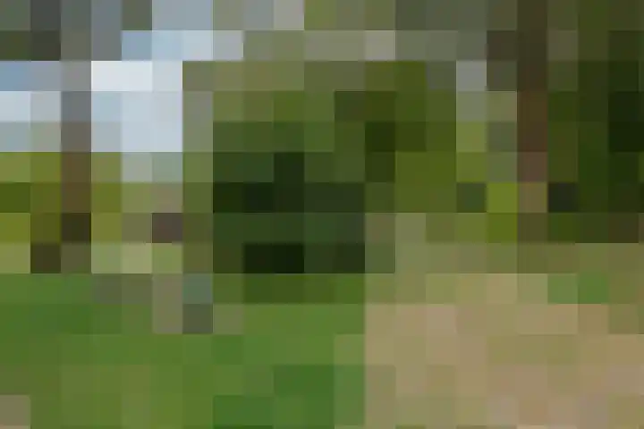Larikslaan 3 e Leusden thumbnail 45