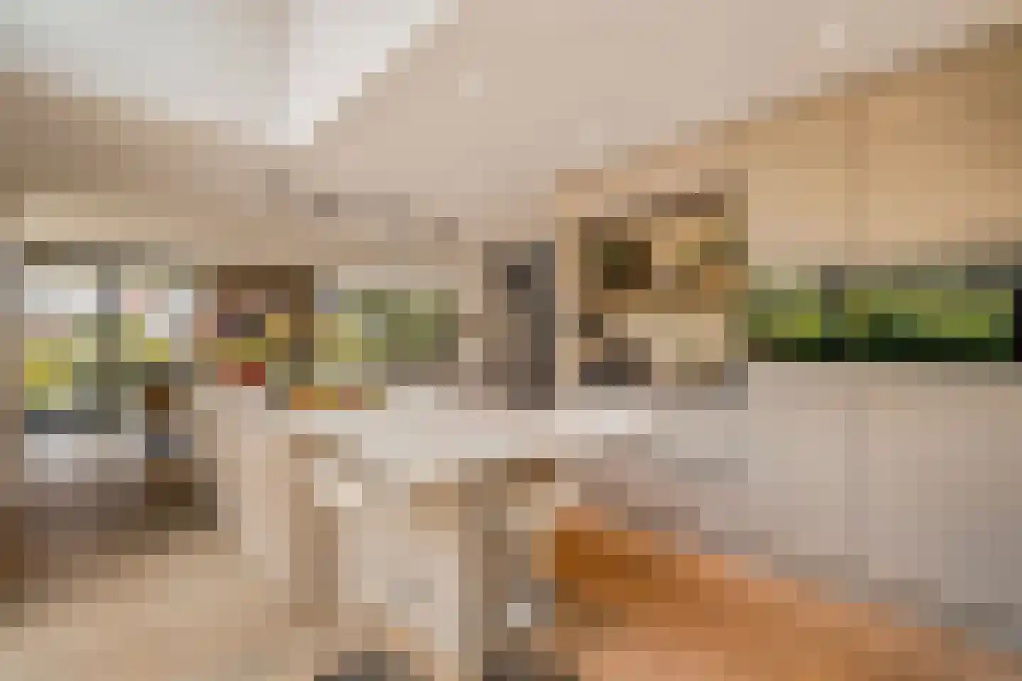 Larikslaan 33 Amsterdam thumbnail 15