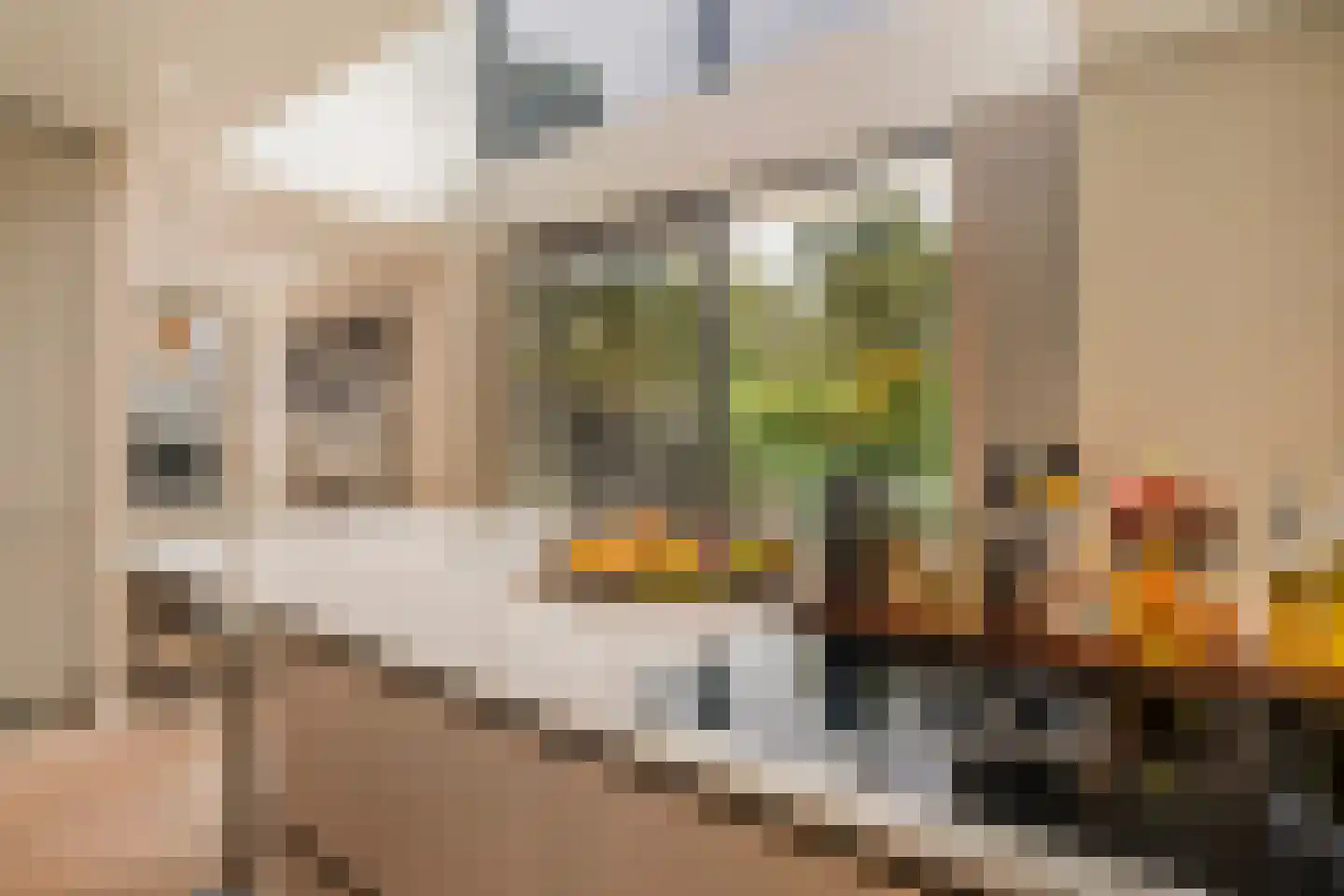 Larikslaan 33 Amsterdam thumbnail 18