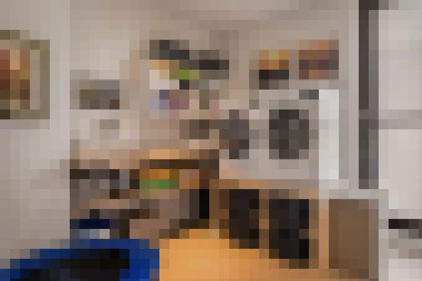 Larikslaan 33 Amsterdam thumbnail 54