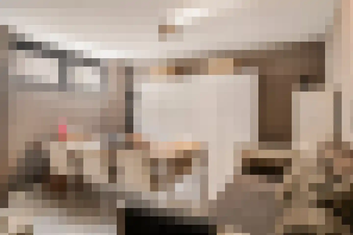 Larikslaan 33 Amsterdam thumbnail 76