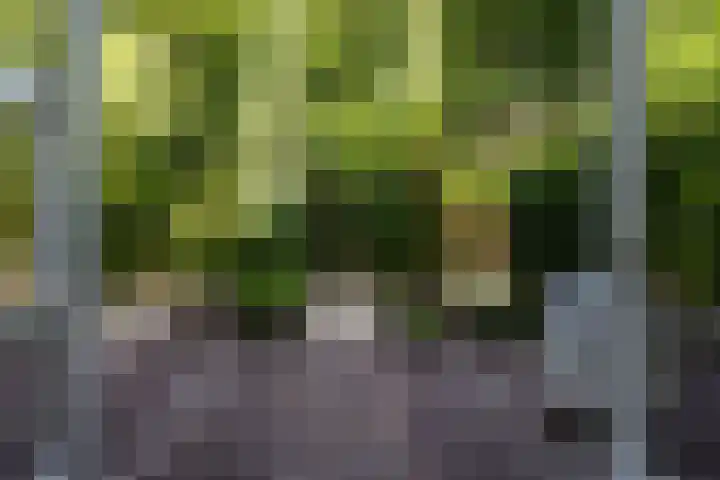 Larikslaan 8 Bilthoven thumbnail 12