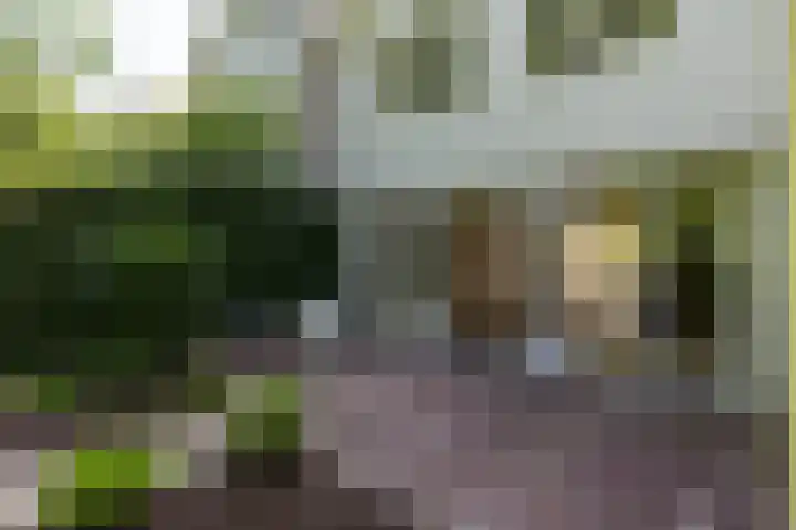Larikslaan 8 Bilthoven thumbnail 13