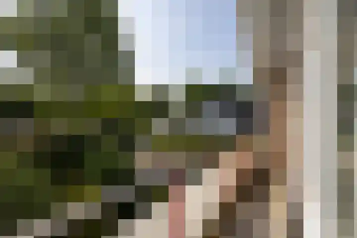 Larikslaan 8 Bilthoven thumbnail 25
