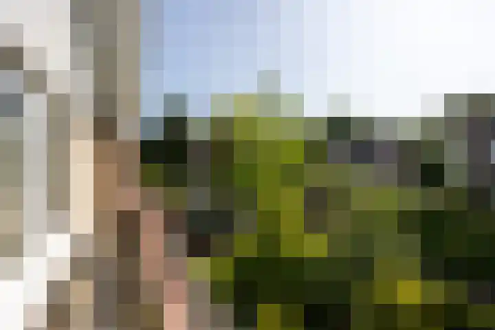Larikslaan 8 Bilthoven thumbnail 26