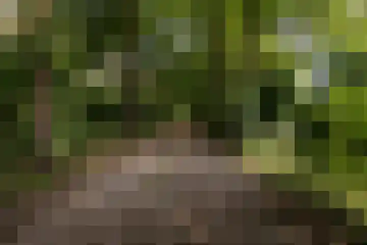 Larikslaan 8 Bilthoven thumbnail 35