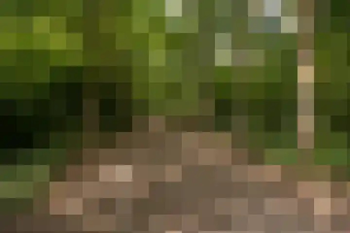 Larikslaan 8 Bilthoven thumbnail 4