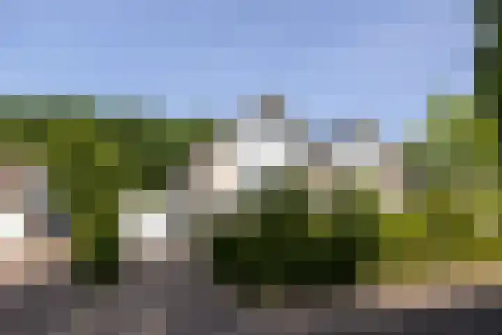 Larikslaan 8 Bilthoven thumbnail 43