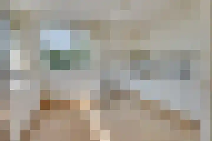 Larikslaan 8 Bilthoven thumbnail 8