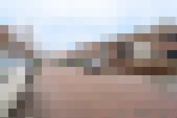 Lariksstraat 30 Breda thumbnail 31