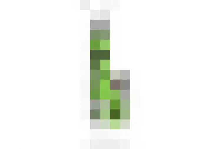 Lariksstraat 30 Breda thumbnail 33