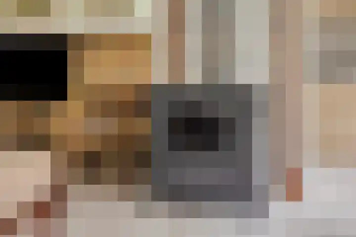 Lariksweg 12 Emst thumbnail 10