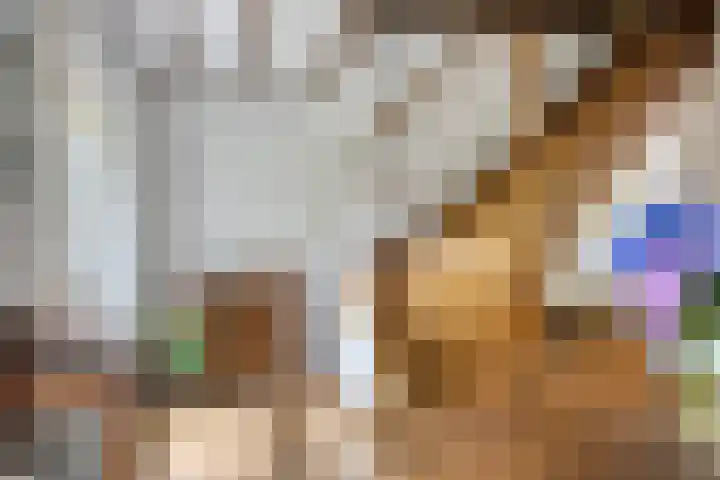 Lariksweg 12 Emst thumbnail 17