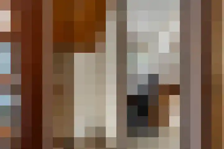 Lariksweg 12 Emst thumbnail 18