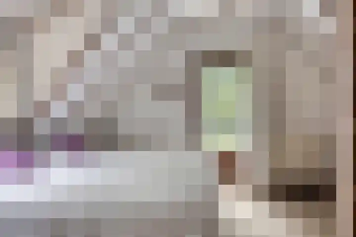 Lariksweg 12 Emst thumbnail 19
