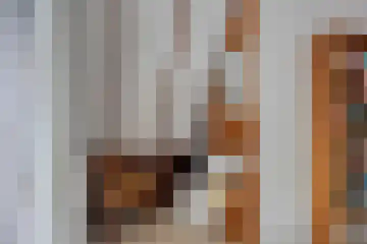 Lariksweg 12 Emst thumbnail 21