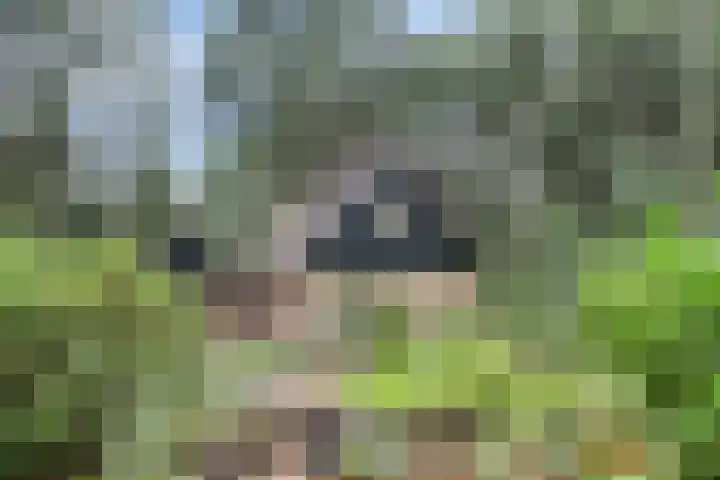 Lariksweg 12 Emst thumbnail 25