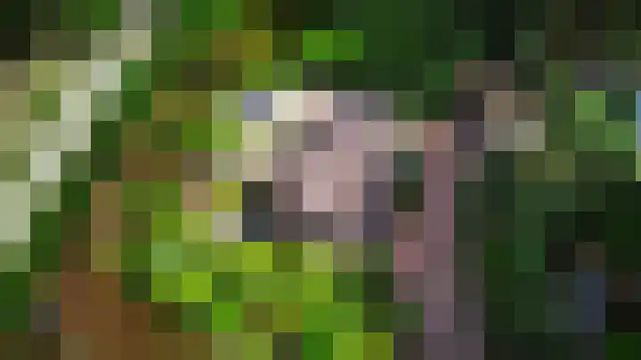 Lariksweg 12 Emst thumbnail 28