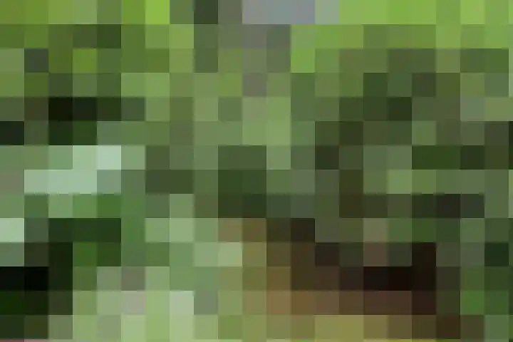 Lariksweg 12 Emst thumbnail 32