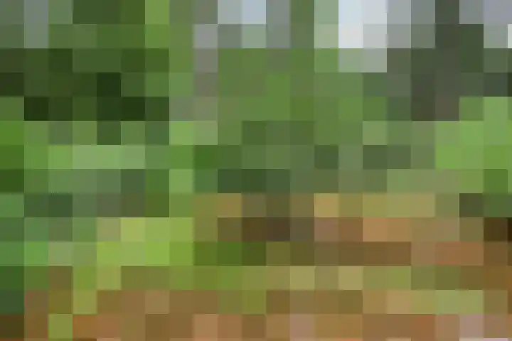 Lariksweg 12 Emst thumbnail 34