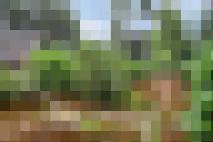 Lariksweg 12 Emst thumbnail 36