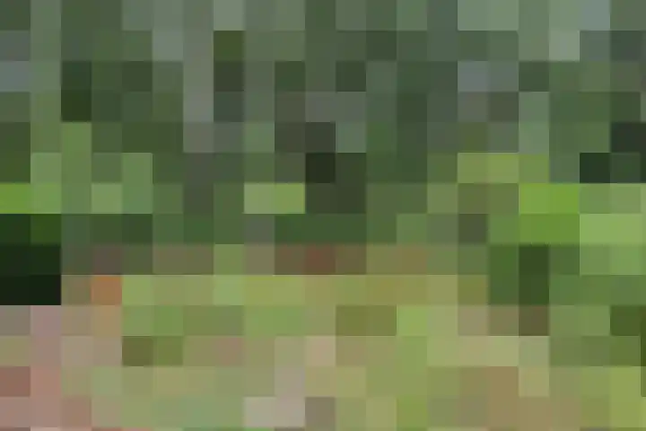 Lariksweg 12 Emst thumbnail 38