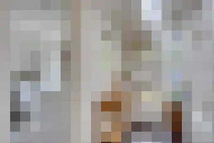 Lariksweg 12 Emst thumbnail 4