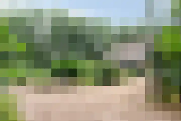 Lariksweg 12 Emst thumbnail 40
