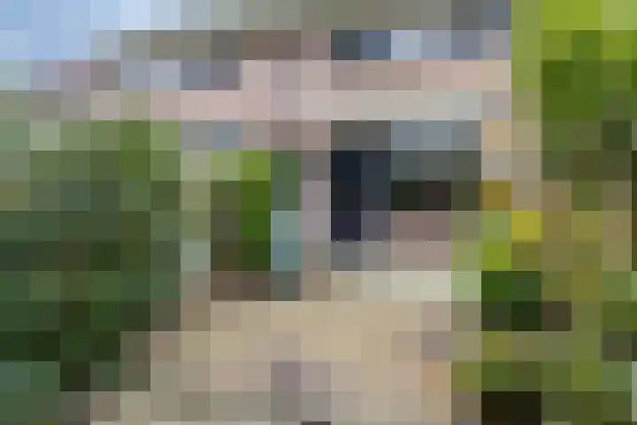 Larix 45 Hellevoetsluis thumbnail 26