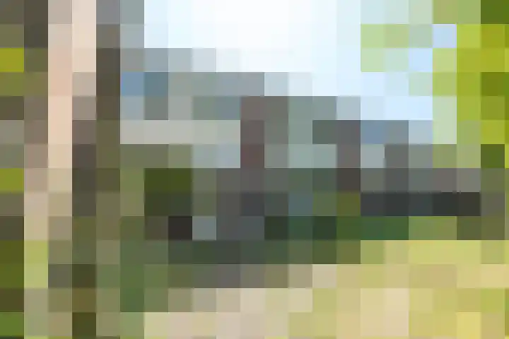 Larix 7 Hellevoetsluis thumbnail 21