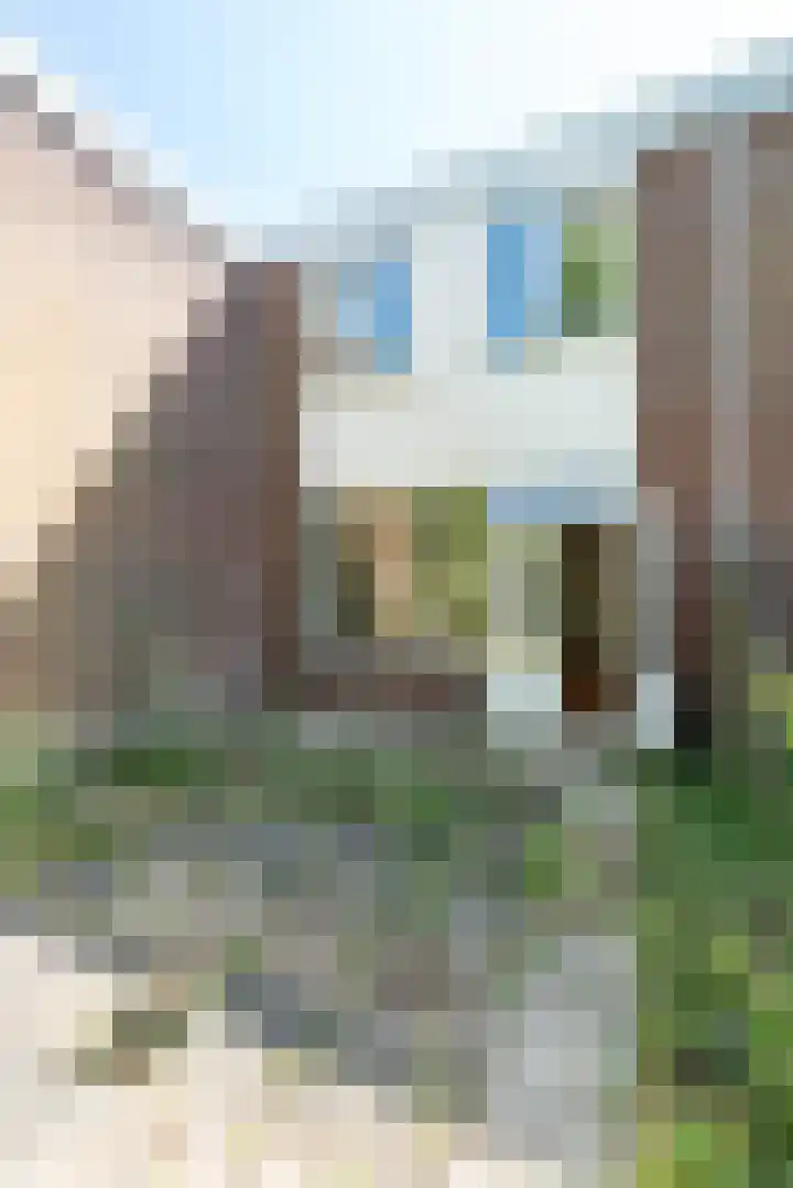 Larix 7 Hellevoetsluis thumbnail 24