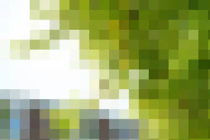 Larix 7 Hellevoetsluis thumbnail 6