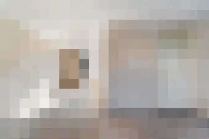 Larixdreef 6 Bleiswijk thumbnail 12