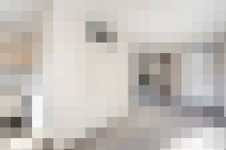 Larixdreef 6 Bleiswijk thumbnail 13