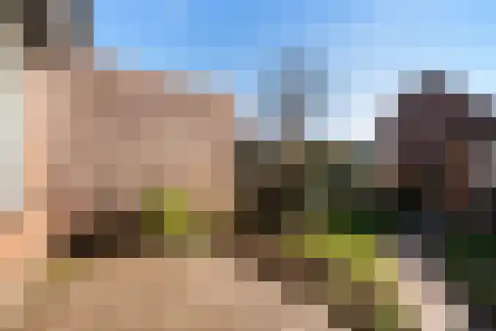 Larixdreef 6 Bleiswijk thumbnail 18