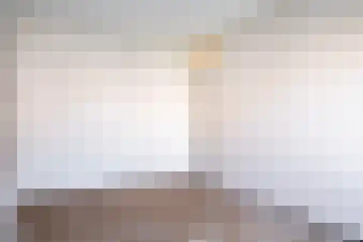 Larixdreef 6 Bleiswijk thumbnail 23