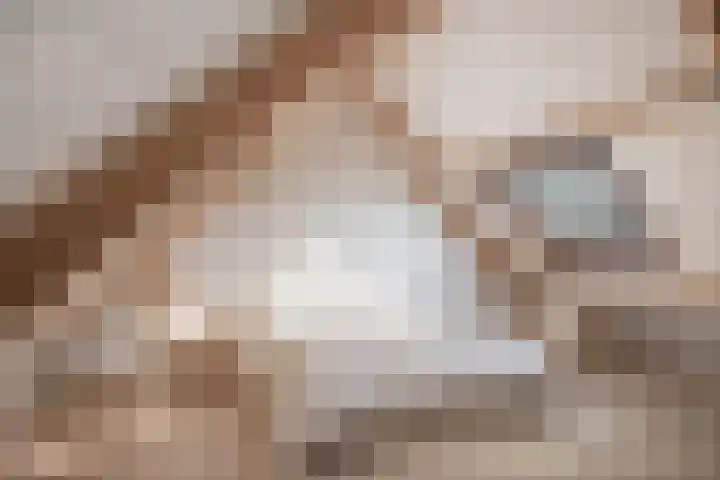 Larixdreef 6 Bleiswijk thumbnail 29