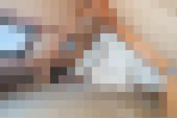 Larixdreef 6 Bleiswijk thumbnail 30