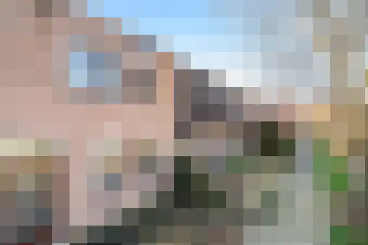Larixdreef 6 Bleiswijk thumbnail 32