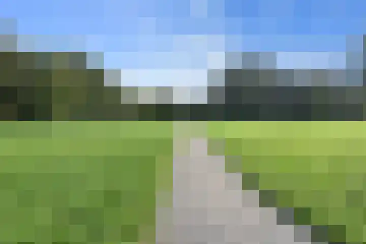 Larixdreef 6 Bleiswijk thumbnail 33