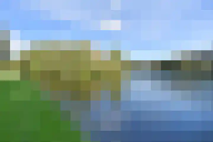 Larixdreef 6 Bleiswijk thumbnail 34