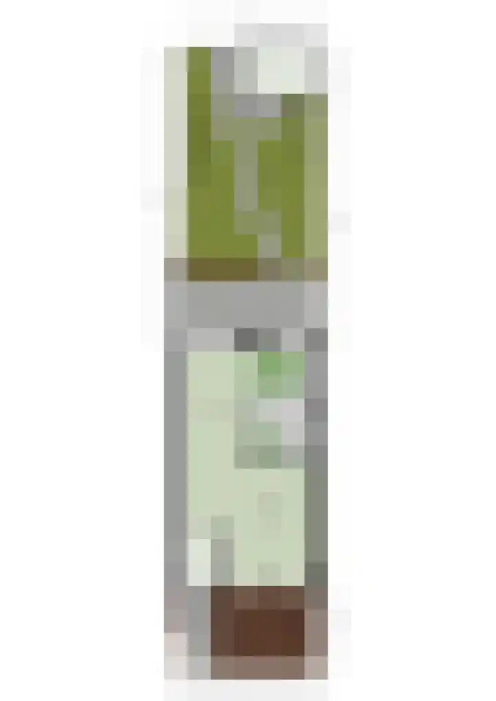Larixdreef 6 Bleiswijk thumbnail 41