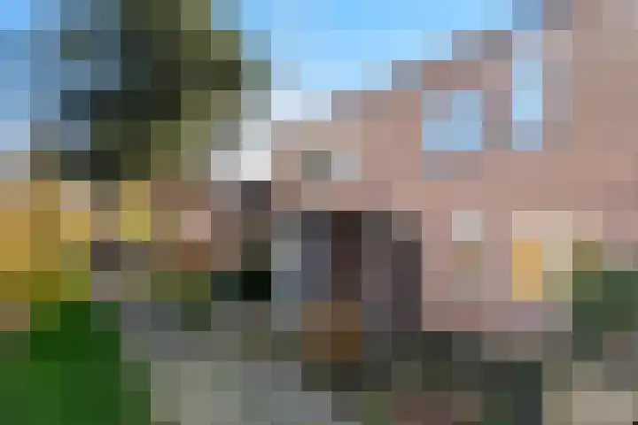 Larixdreef 6 Bleiswijk thumbnail 5