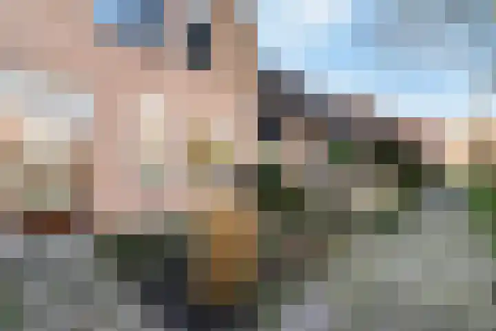 Larixdreef 6 Bleiswijk thumbnail 6
