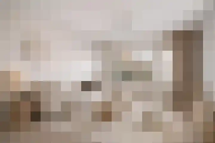 Larixdreef 6 Bleiswijk thumbnail 9